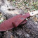 Туристический нож Shark AUS8 StoneWash от Kizlyar Supreme