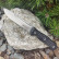 Туристический нож Maximus (G-10) AUS8 StoneWash от Kizlyar Supreme