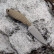 Нож Белка Next K110 G10 песчаный