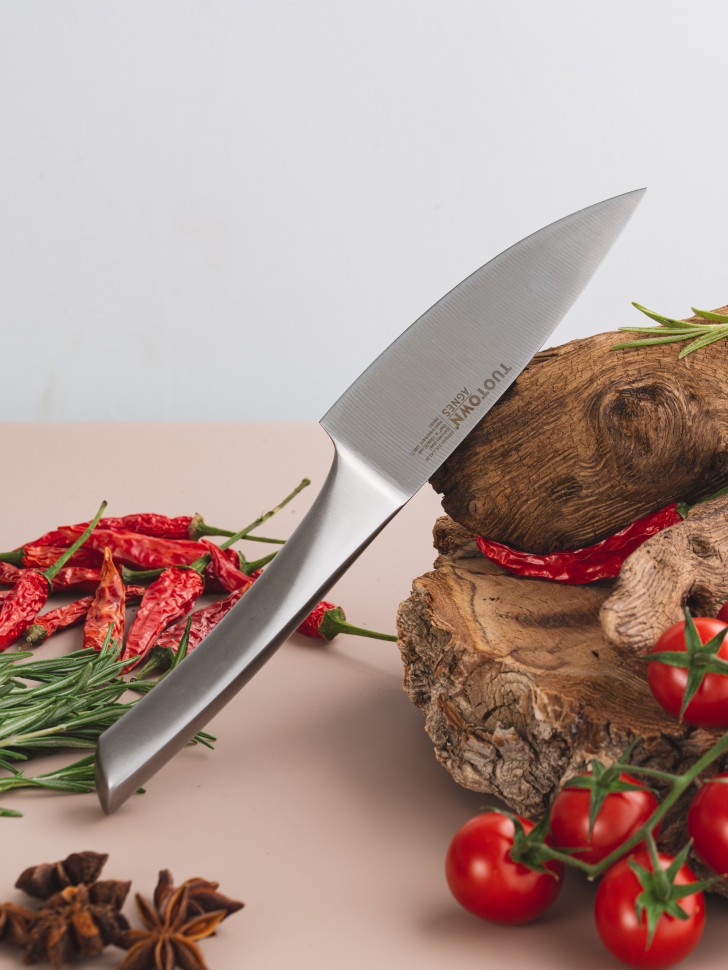 Кухонный нож Шеф мини Agnes
