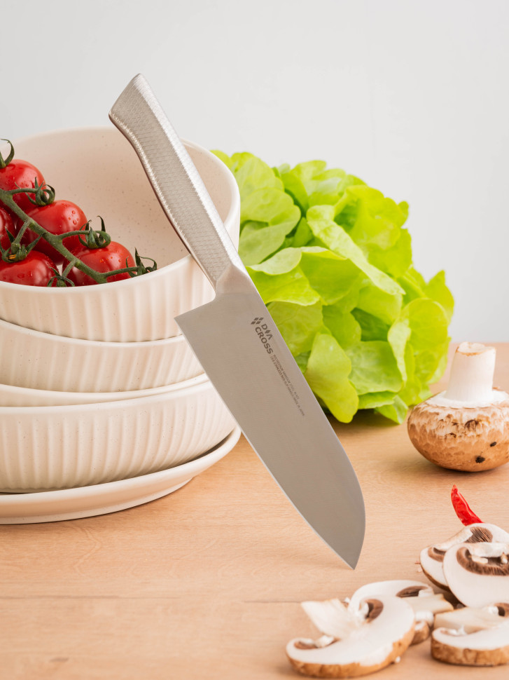 Купить Сантоку японский шеф нож Kasumi Diacross в Москве Спб с доставкой по России