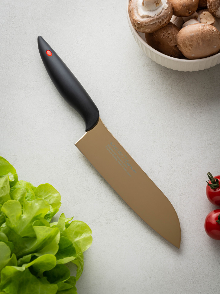 Купить японский шеф Сантоку Kasumi Titanium в Москве с доставкой по России